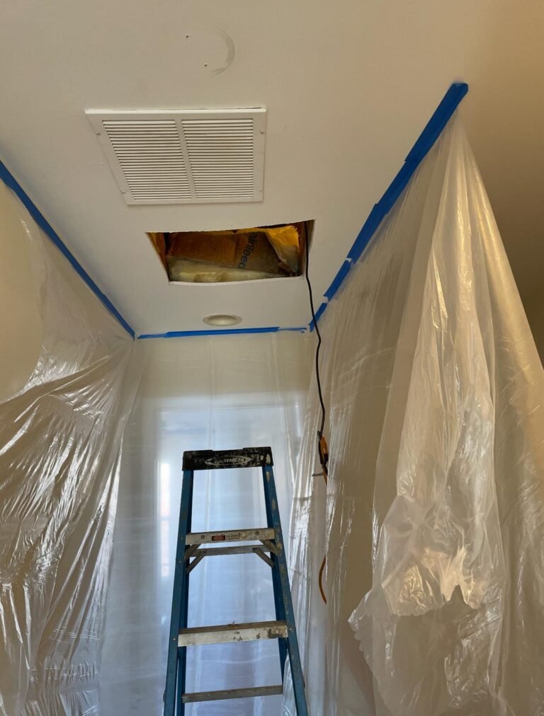 WhatsApp Image 2025-09-26 at 2.58