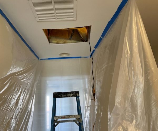 WhatsApp Image 2025-09-26 at 2.58.19 PM (1)